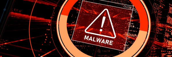 Company Selling Social Media, Gaming Accounts, and Software Licenses Worldwide Suffered a Data Breach